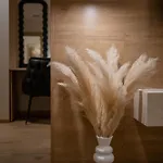 Soho Centre - Luxury * スコピエ